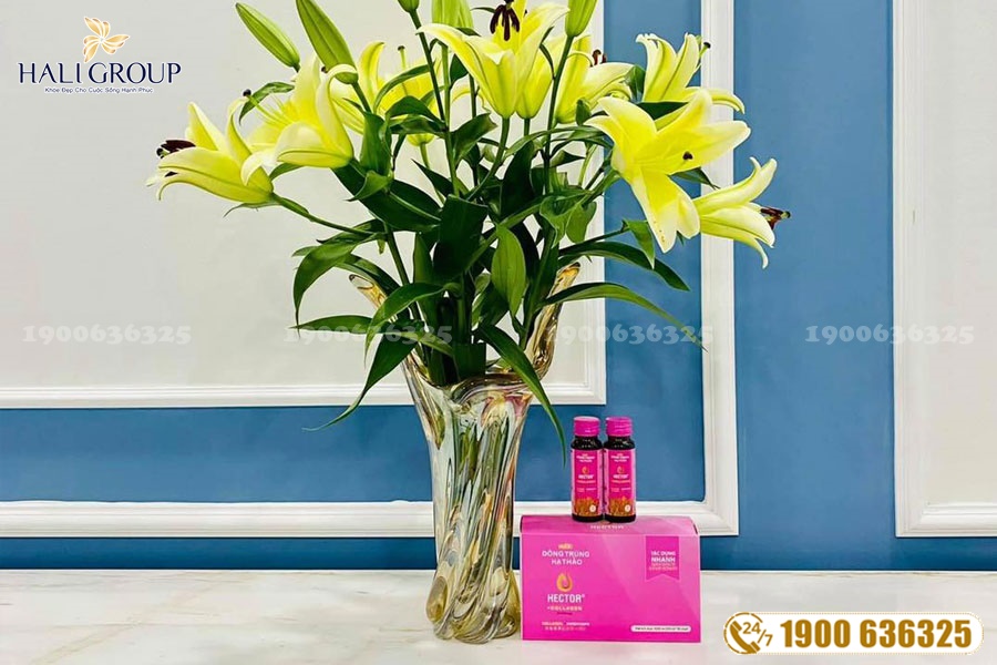 Nước Uống Đông Trùng Hạ Thảo Hector Collagen - sản phẩm tuyệt vời cho các đối tượng mong muốn bồi bổ sức khỏe
