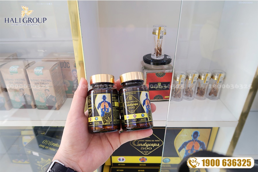 Nhà cung cấp Đông Trùng Hạ Thảo Cordyceps 500 Mailands trên toàn quốc